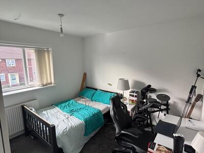 Picture 8